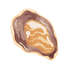 Oyster. Sea shell, cartoon icon. Ocean exotic underwater sink seashell aquatic mollusk. Tropical beach shells. Vector cartoon illustration