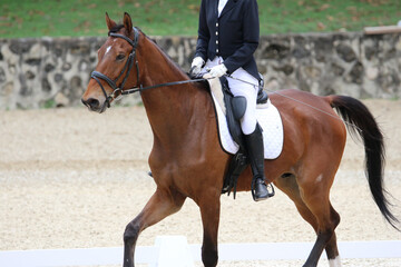 Female Rider Performing Dressage Test with Horse in Competition Arena