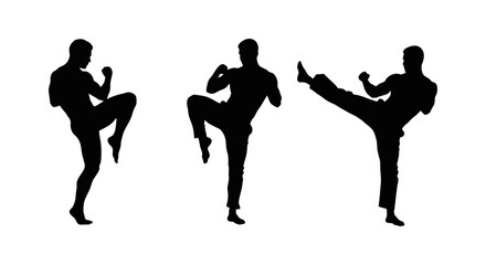 Powerful Silhouette of Three Martial Artists Performing Kicks