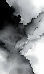 Abstract monochrome ink wash background creating a dramatic effect with liquid textures blending together seamlessly enhancing aesthetic appeal