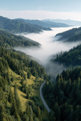 Obraz premium aerial view of majestic mountains enveloped in soft morning fog serene beauty of nature