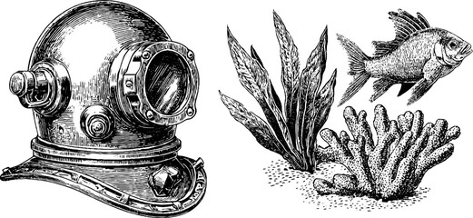 Vintage engraving of diver helmet, coral, seaweed, and fish for nautical design
