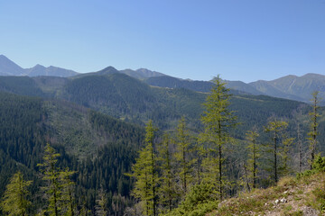 Spectacular views from the peak of Kopieniec Wielki (1328 m. n. m.) – a peak in the mountain forest part of the Western Tatras, between the Olczyska Valley and Chlabowska Valley. Zakopane, Poland