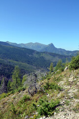 Spectacular views from the peak of Kopieniec Wielki (1328 m. n. m.) – a peak in the mountain forest part of the Western Tatras, between the Olczyska Valley and Chlabowska Valley. Zakopane, Poland