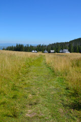 Olczyska Valley, Kopieniec Meadow with characterictic wooden cottages. Tatra Mountains, Zakopane, Poland