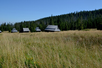 Olczyska Valley, Kopieniec Meadow with characterictic wooden cottages. Tatra Mountains, Zakopane, Poland