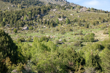 Naklejka premium mountain landscape in the mountains