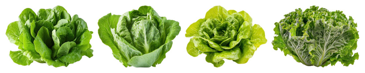PNG Fresh green leafy vegetables variety, element set on transparent background