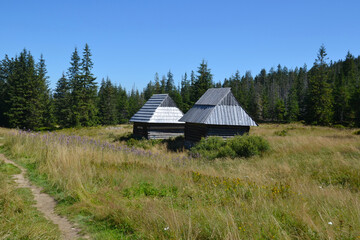 Olczyska Valley, Kopieniec Meadow with characterictic wooden cottages. Tatra Mountains, Zakopane, Poland