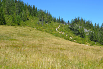 Tourists on the trail. Mountain trail from Toporowa Cyrhla to Wielki Kopieniec mount. Hiking trail in the Western Tatras. Tatra National Park, Zakopane, Poland