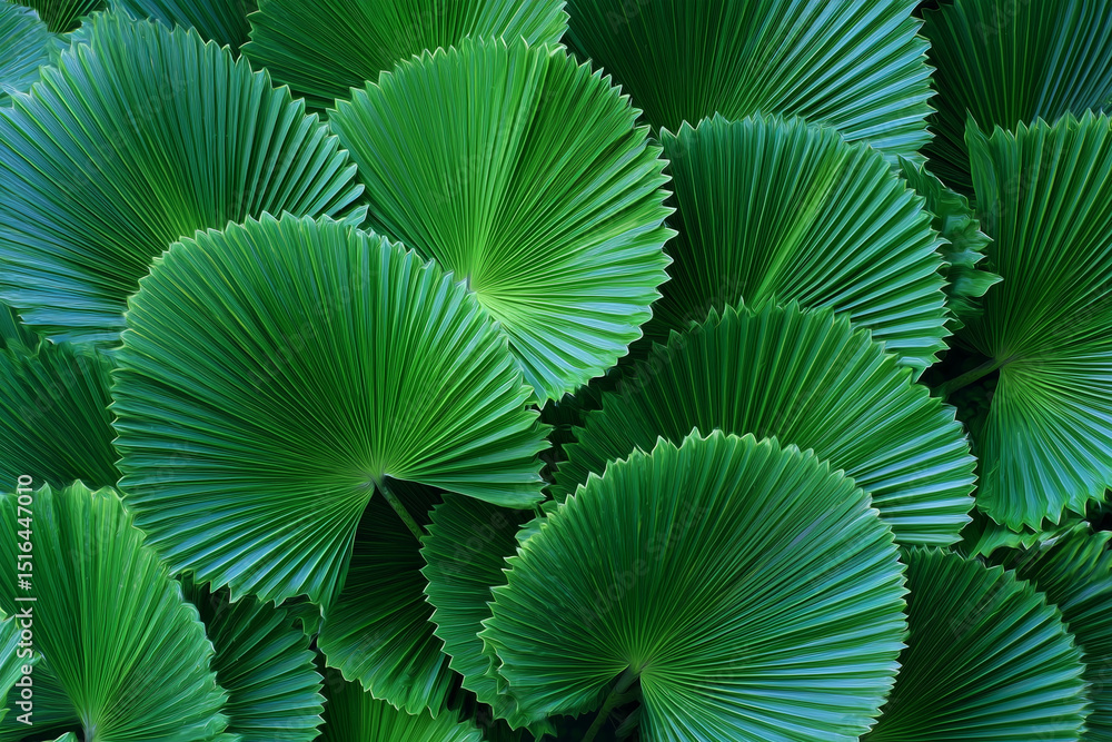 Poster a close up of a bunch of green leaves with intricate details. the leaves are large and have a glossy