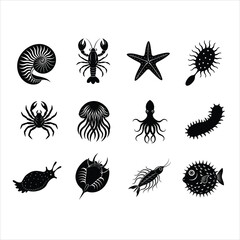Aquatic animal vector illustration icons