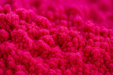 Abstract Organic Texture in Vibrant Pink – Microscopic Surface or Sci-Fi Terrain Close-Up for Backgrounds and Design