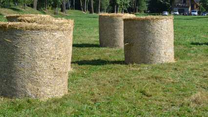 Haystack harvested in cereal field. Rolls of hay bales in a field. Hay is prepared in a roll for storage in winter. Agricultural scene on the polish countryside
