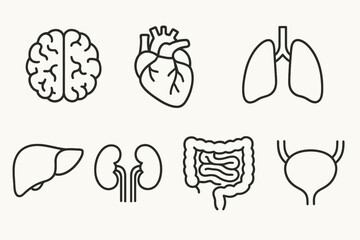 Set of human organ icons: brain, heart, lungs, liver, kidneys, intestines, bladder
