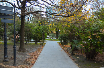 City Park