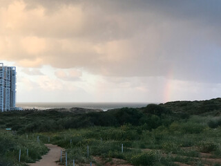 Coastal landscape with path leading to ocean under cloudy sky  