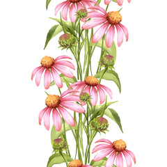 Pink Echinacea Vertical Border - Hand-Drawn Floral Illustration