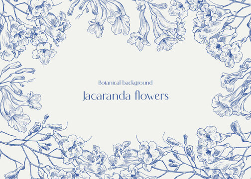 Toile art Vector vintage floral background Jacaranda tree flowers, flowering frame in blue and beige. Hand drawn engraved elements. Illustration for design greeting card, wedding decor. Monochrome