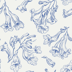 Jacaranda tree flowers Toile art Floral vector vintage seamless pattern, blue beige. Hand drawn background for design packaging, textile, wrapping paper, wallpaper, Fashion apparel, wedding.Monochrome