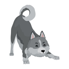 Cute gray wolf pose. Cartoon character of dangerous mammalian animal. Vector flat illustration isolated on white background
