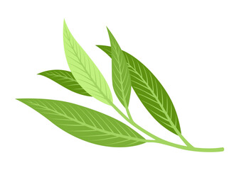 Tea brewing icon. Accessories for tea party. Traditional and cozy tea drinking. Element for aromatic hot drink. Flat vector illustration isolated on white background