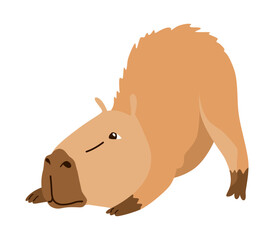 Capybara. Cartoon cute animal, wild herbivore mammal resting. Funny adorable exotic animal relaxing. Cartoon flat vector illustration