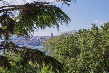 Istanbul cityscape with Galata Tower seen through green tree branches on a sunny day. Scenic...