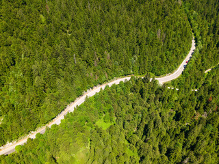 Aerial view of a winding road cutting through a dense coniferous forest. Perfect for themes like...