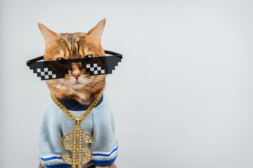 Bengal cat with pixelated glasses and a gold chain.