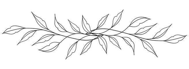 floral leaves line art isolated on white background. Divider doodle leaf and flowers, nature border decorative element vector illustration