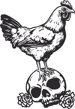 vector illustration of a chicken, rooster vector, animal farm vector
