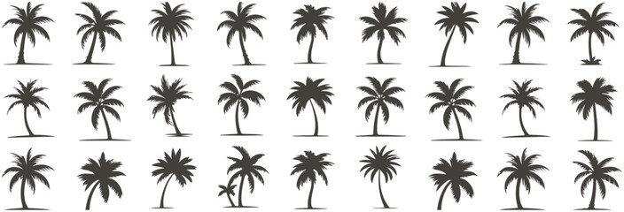 Palm tree silhouette vector collection with tropical elements for beach themes, exotic designs, and nature illustrations

