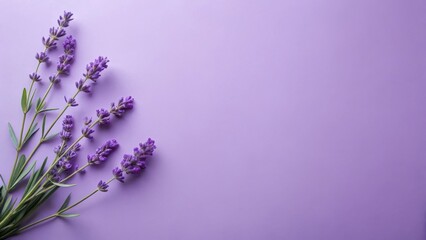 Naklejka premium Aromatic Lavender Sprigs on a Soft Purple Background, Ideal for Relaxation and Wellness Themes