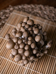 fresh brown shimeji mushroom or beech mushroom.