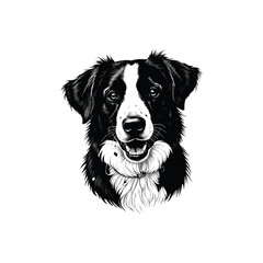 Vintage black and white dog illustration. drawn in an engraved, woodcut style with fine details sketch engraving vector illustration. Scratch board imitation. 
