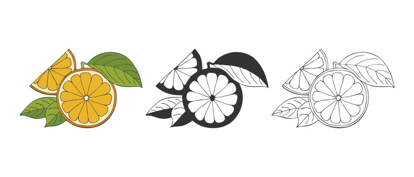 Citrus orange icons set, hand drawind doodle, contour and silhouette fruits with leaves. Isolated on white background.