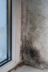 wet glass and mold on the window slopes