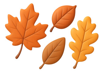 Naklejka premium Autumn Leaves Collection: Four vibrant autumn leaves—maple, oak, and two additional varieties—display the rich colors of the season. Perfect for seasonal designs.