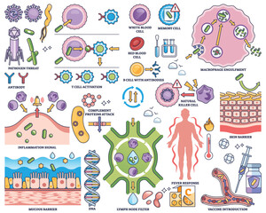 Immune system defense illustrated with cells, antibodies, and pathogens in an outline style collection. Outline style collection