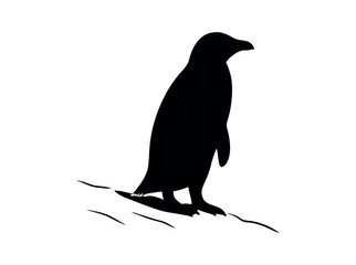 Silhouette of a Penguin on a Snowy Landscape,  silhouette of a penguin standing on a snowy or icy surface, penguin, silhouette, bird, black and white, animal, wildlife, arctic, antarctic, snowy, ice. 