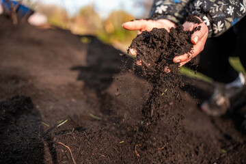 scientist researcher studying soil and forest health effects from climate change. university student research on bush soil structure and biology diversity. holding a soil sample in hand