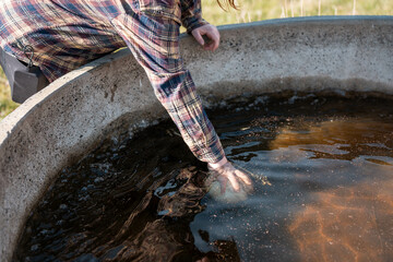 female farmer fixing a water trough on a farm. angus calm cow drinking water out of a round trough. livestock water trough in a field on a cattle farm in Australia in summer