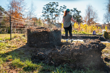 Compost pile, organic thermophilic compost turning in Tasmania Australia.