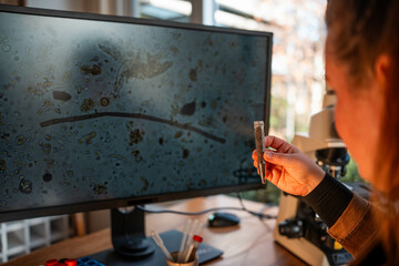 scientist researcher studying soil and forest health effects from climate change. university student research on bush soil structure and biology diversity. holding a soil sample in hand
