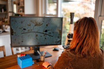 Home lab testing soil samples for soil life biology microorganisms in compost with a microscope,...