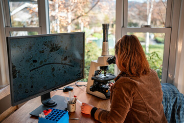 Home lab testing soil samples for soil life biology microorganisms in compost with a microscope,...
