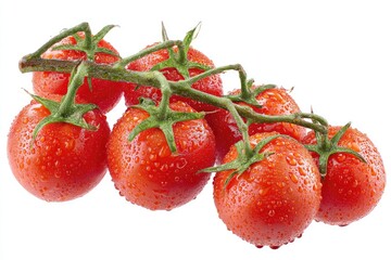 Fresh, juicy tomatoes on vine