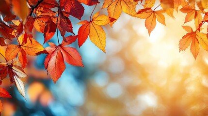 Cascading Autumn Leaves in a Symphony of Color Where Warmth Meets the Sky in a Final Embrace before Winter s Arrival