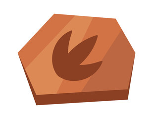 Stone fossils prehistoric animal footprint